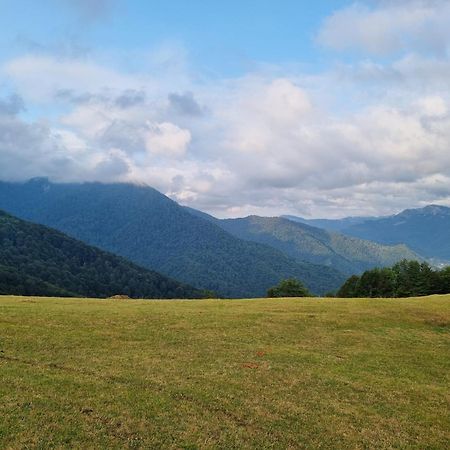 Villa Katun Lanista-Kolibe Bogavac Mojkovac Exterior foto