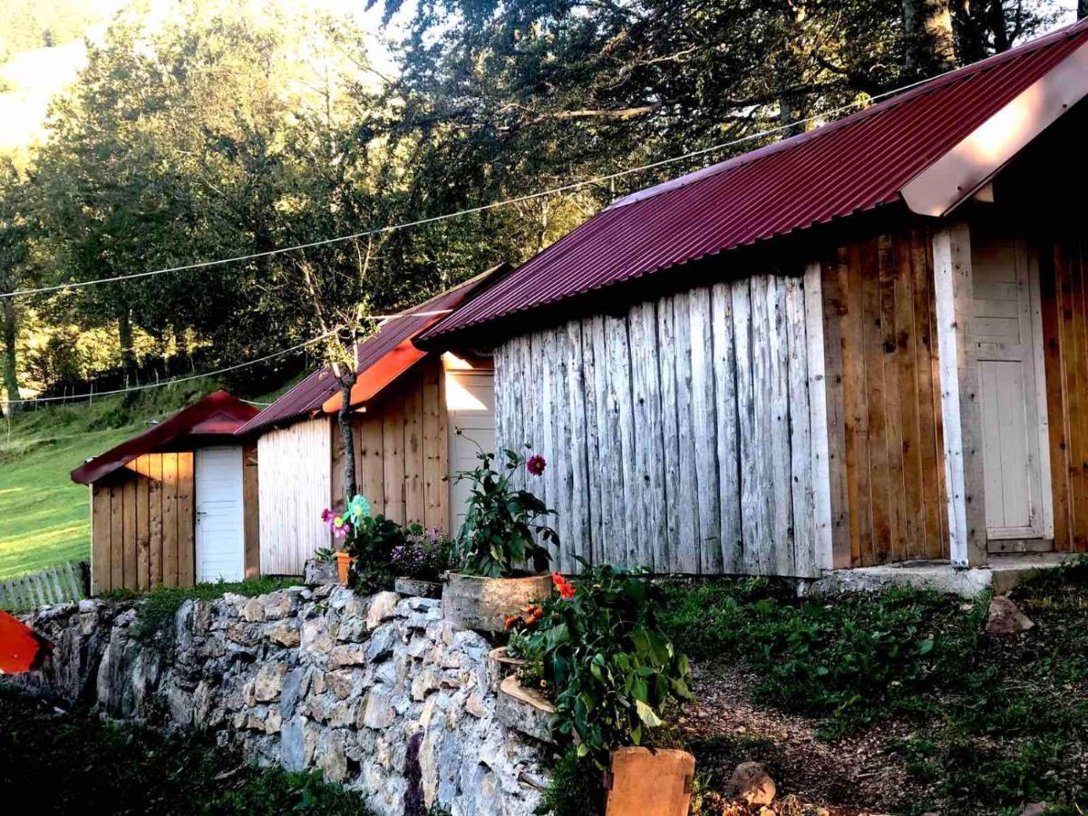 Villa Katun Lanista-Kolibe Bogavac Mojkovac Exterior foto