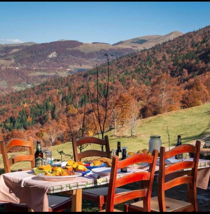 Villa Katun Lanista-Kolibe Bogavac Mojkovac Exterior foto